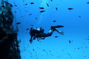 Malta: 2 Scuba Fun Dives for Certified divers