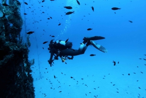 مالطا: غطستان ممتعتان للغواصين المعتمدين