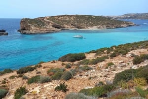 Malta: 3 Island Cruise to Selmun Bay, Blue Lagoon and Gozo