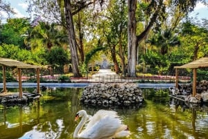 몰타: 고조 섬과 교통편이 포함된 5일 투어 패키지