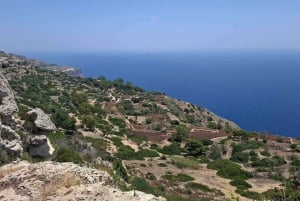 Malta: 5 timmars matupplevelse med vintagebuss – Mdina, Mosta och mer