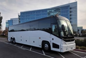 Malta Airport: Private Coach Hotel Transfer from Airport