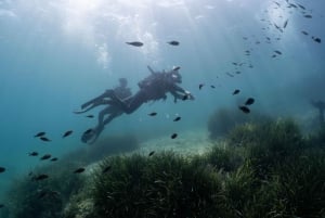 Malta: Beginner Scuba Diving with Dive Registration