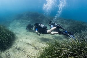 Malta: Beginner Scuba Diving with Dive Registration