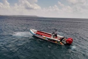 Malta: Speedbådstur til Den Blå Lagune og Cominos huler