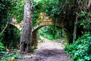 Malta: Buskett Woodlands & Dingli Cliffs Private Nature Tour
