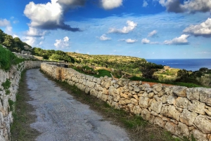 Malta: Buskett Woodlands & Dingli Cliffs Private Nature Tour