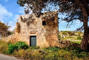 Buskett Woodlands and Dingli Cliffs Private Nature Tour