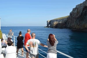 Malta: Comino, blå lagune og grotter med båtcruise