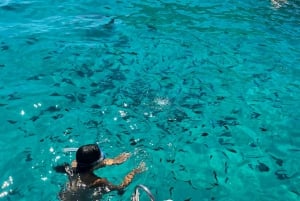 Malta: Comino, Blue lagoon Private Speed Boat Tour