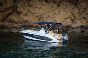 Malta: Comino, Blue lagoon Private Speed Boat Tour