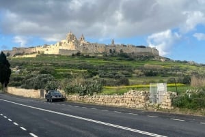 Anpassade utflykter i södra Malta
