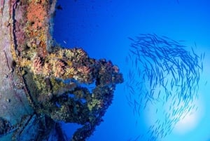 Malta: Descubre el Buceo 2 Inmersiones Con Inmersión en Pecio