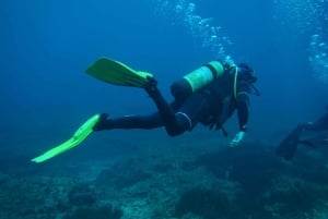 Malta: Descubre el Buceo 2 Inmersiones Con Inmersión en Pecio