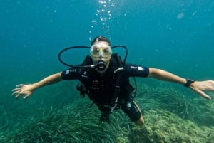 Malta: Discover Scuba Diving in crystal clear waters