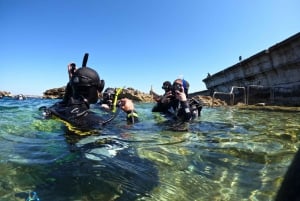 Malta: Discover Scuba Diving in crystal clear waters