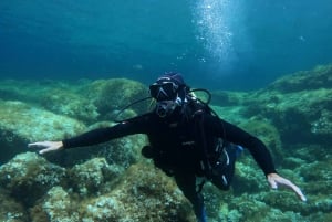 Malta: Discover Scuba Diving in crystal clear waters