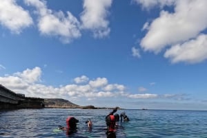 Malta: Oppdag dykking i krystallklart vann