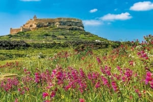 Malta: Gozo 4x4 UTV Tour and Optional Comino Mini Cruise