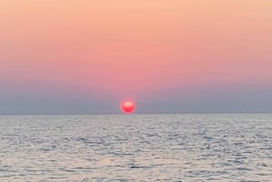 Malta, Gozo og Comino: Bådcharter - dags- og solnedgangsture