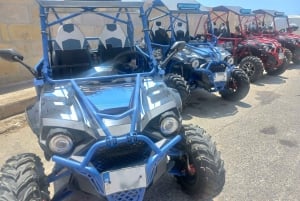 Malta: Gozo-buggytour met lunch en boottocht