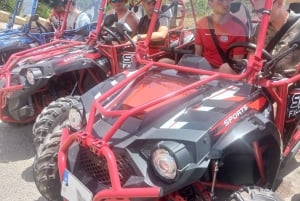 Malta: Gozo-buggytour met lunch en boottocht