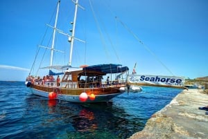 Malta: Gozo, Comino og Blue Lagoon-cruise med sjøhuler