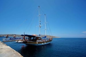 Malta: Gozo, Comino og Blue Lagoon-cruise med sjøhuler