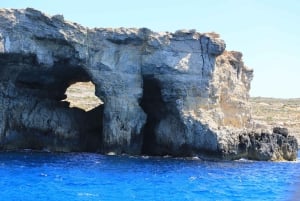 Malta: Gozo, Comino og Blue Lagoon-cruise med sjøhuler