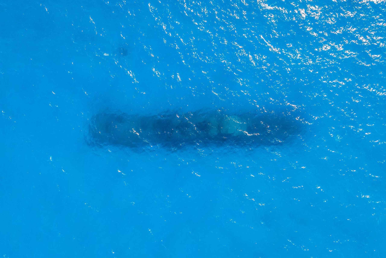 Malta, Gozo e Comino: Fretamento para o arquipélago. Duração de 8 horas.