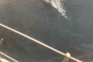 Malta Gozo Comino: Een dag zeilen