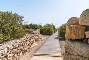 Malta: Gozo Day Trip with Ferry, Lunch, and Bulgarian Guide