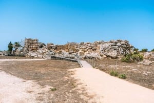 Malta: Gozo Day Trip with Ferry, Lunch, and Bulgarian Guide