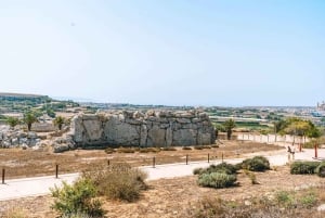 Malta: Gozo Day Trip with Ferry, Lunch, and Bulgarian Guide