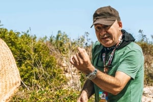 Malta: Gozo Day Trip with Ferry, Lunch, and Bulgarian Guide