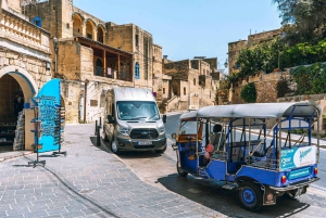 Malta: Gozo Day Trip with Ferry, Lunch, and Bulgarian Guide