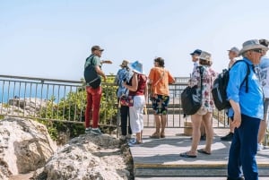 Malta: Gozo Day Trip with Ferry, Lunch, and Bulgarian Guide