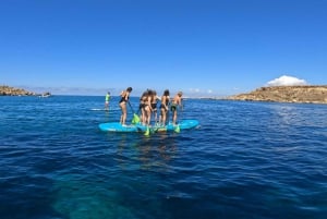 Malta: Guided Giant SUP Tour