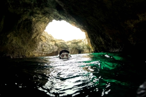 Malta: Guided Snorkeling Adventure with Photos & Videos