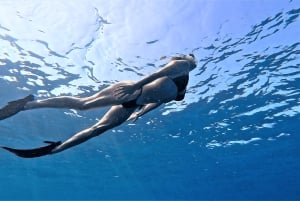 Malta: Guided Snorkeling Adventure with Photos & Videos