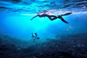 Malte : Aventure de plongée guidée avec photos et vidéos