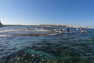 Malta: Geführte SUP-Tour