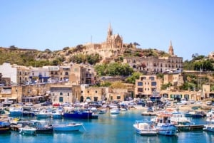 Malta: Wycieczka półdniowa/całodniowa Minibus do 25 osób