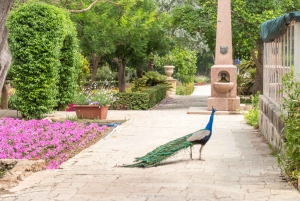 Malta: Highlights of Malta & Mdina Full Day Tour with Lunch