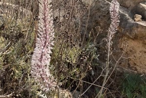 Malta, Il-Majjistral Nature Park: Hiking and Outdoor Yoga