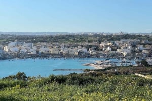 Malta: Marsaxlokk Market, Kalanka Bay & Zejtun Half-Day Trip