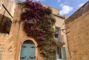 Malta: Mdina and Rabat Walking Tour with Catacombs