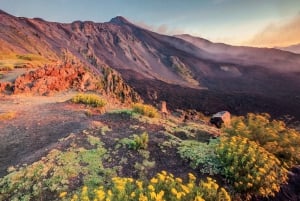 Malta: Mount Etna and Catania Guided Day Trip by Catamaran