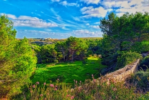 Hoogtepunten van de natuur Privé wandeltour met vervoer