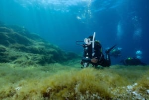 Malta: Open Water Course (PADI)